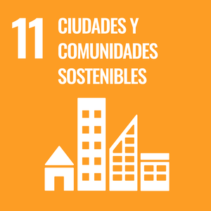 Objetivo 11